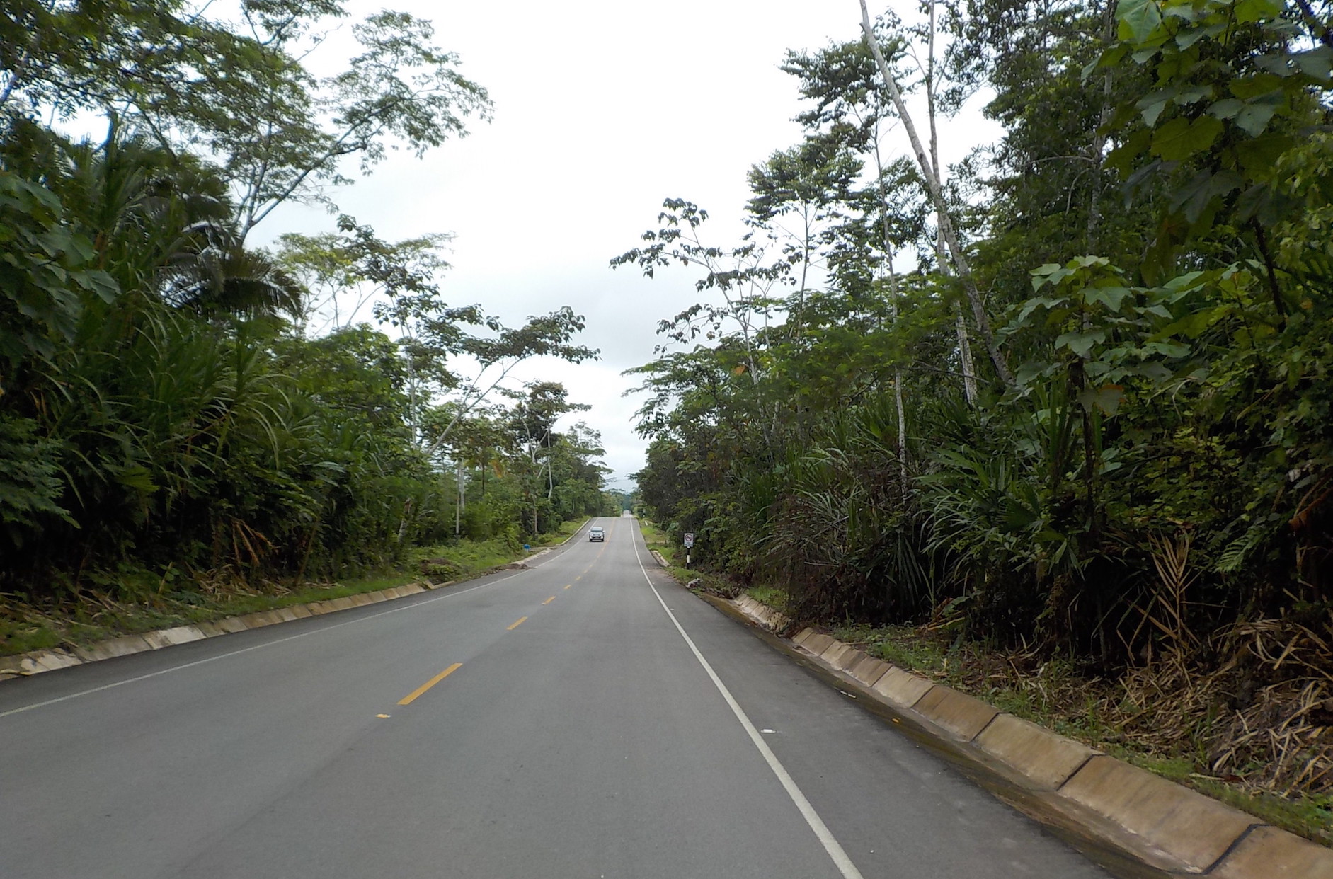 DSCN4521.JPG